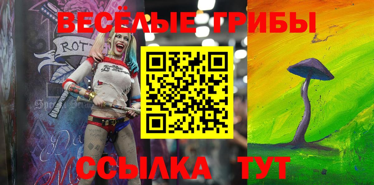 Псилоцибиновые грибы Magic Shrooms Гудермес
