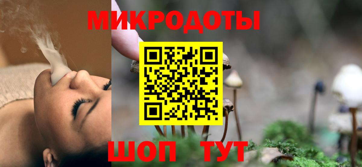 Гудермес  Псилоцибиновые грибы Cubensis  Вход с VPN  Псилоцибиновые грибы Cubensis 